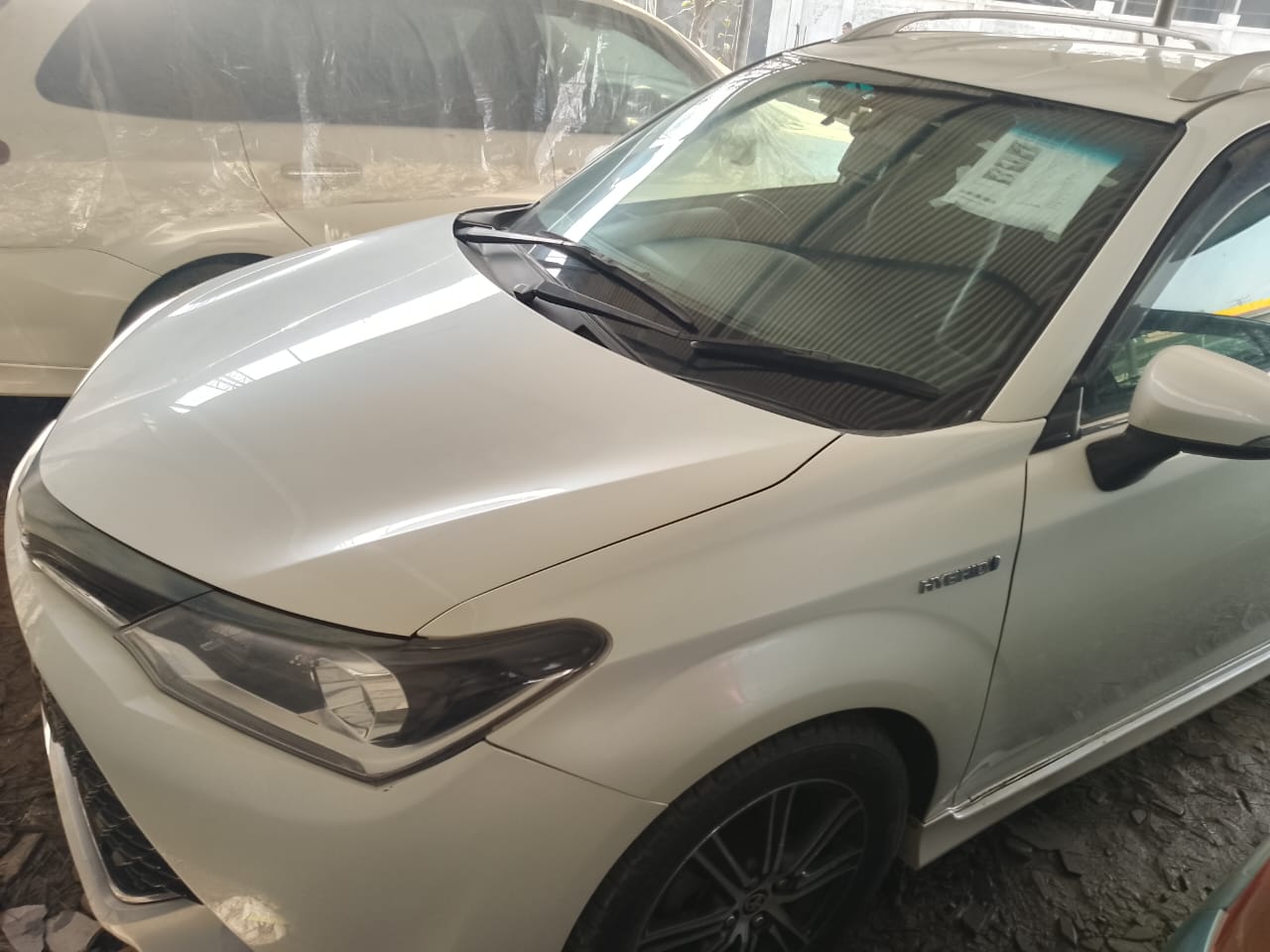 Thumbnail of Fielder