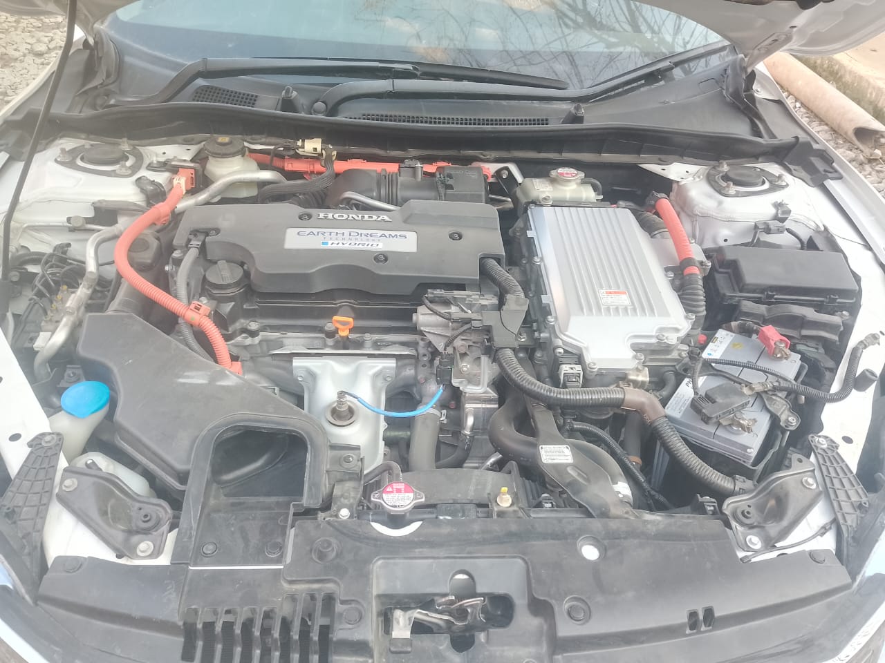 Thumbnail of Accord
