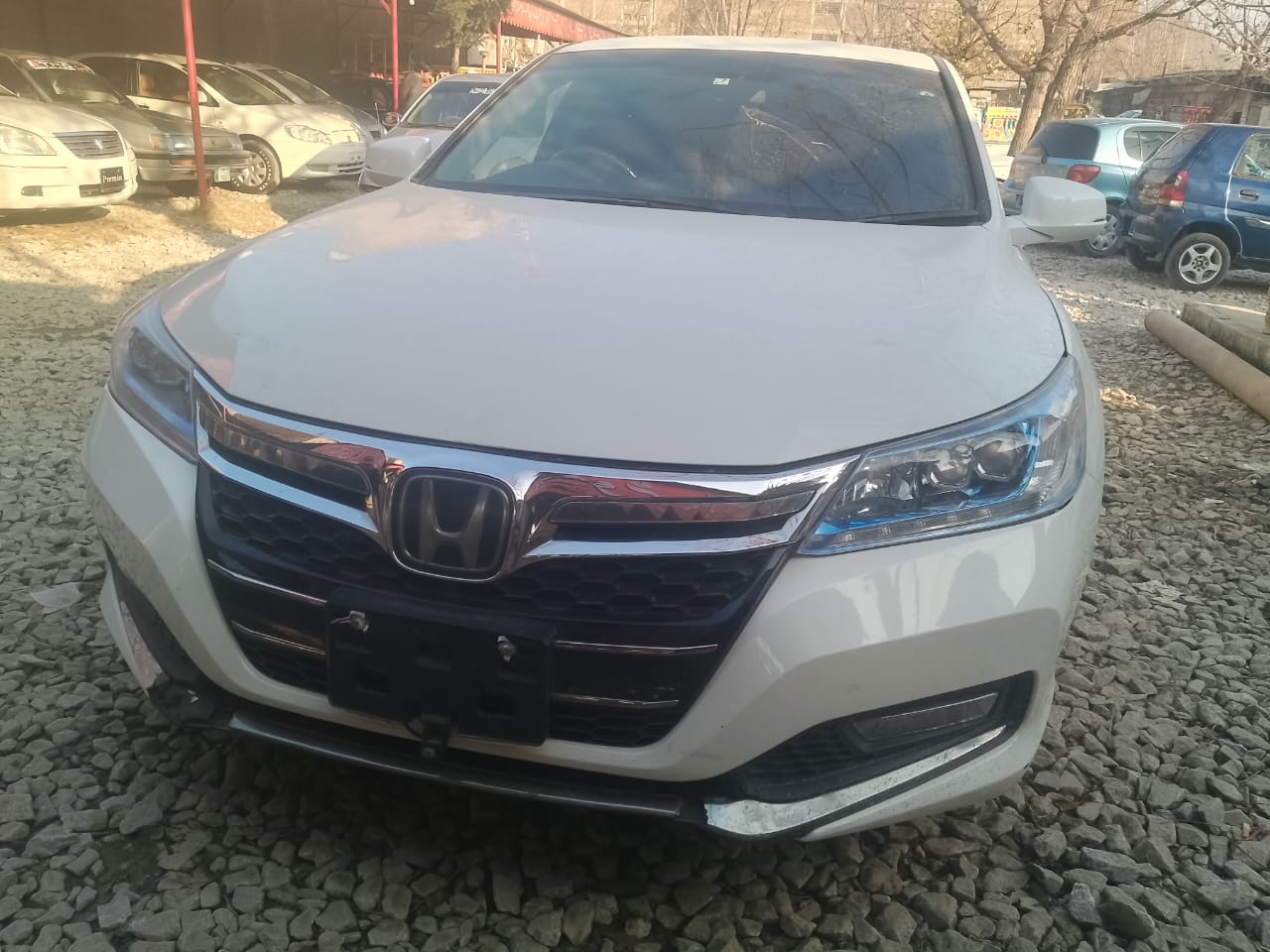 Thumbnail of Accord