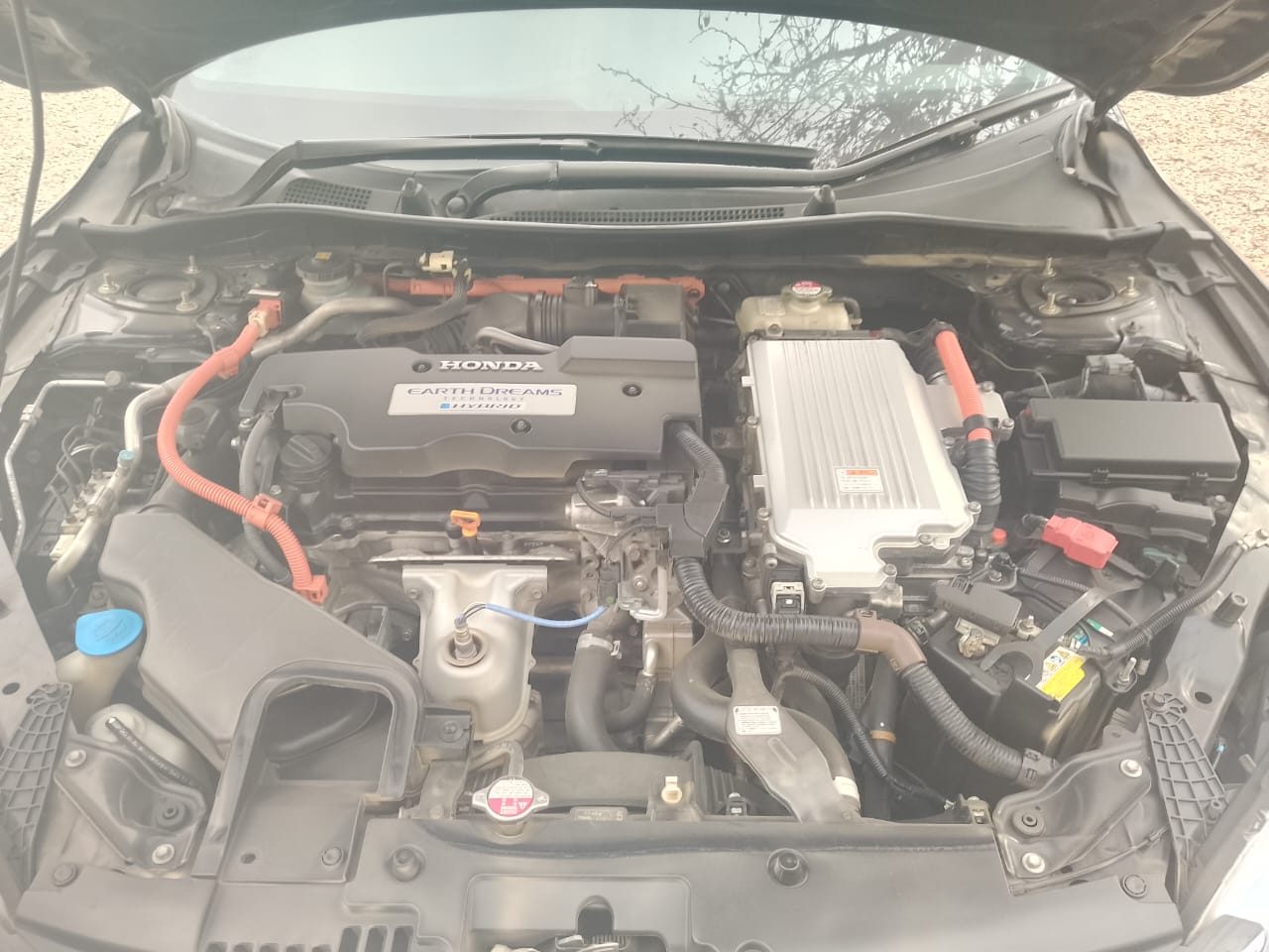 Thumbnail of Accord