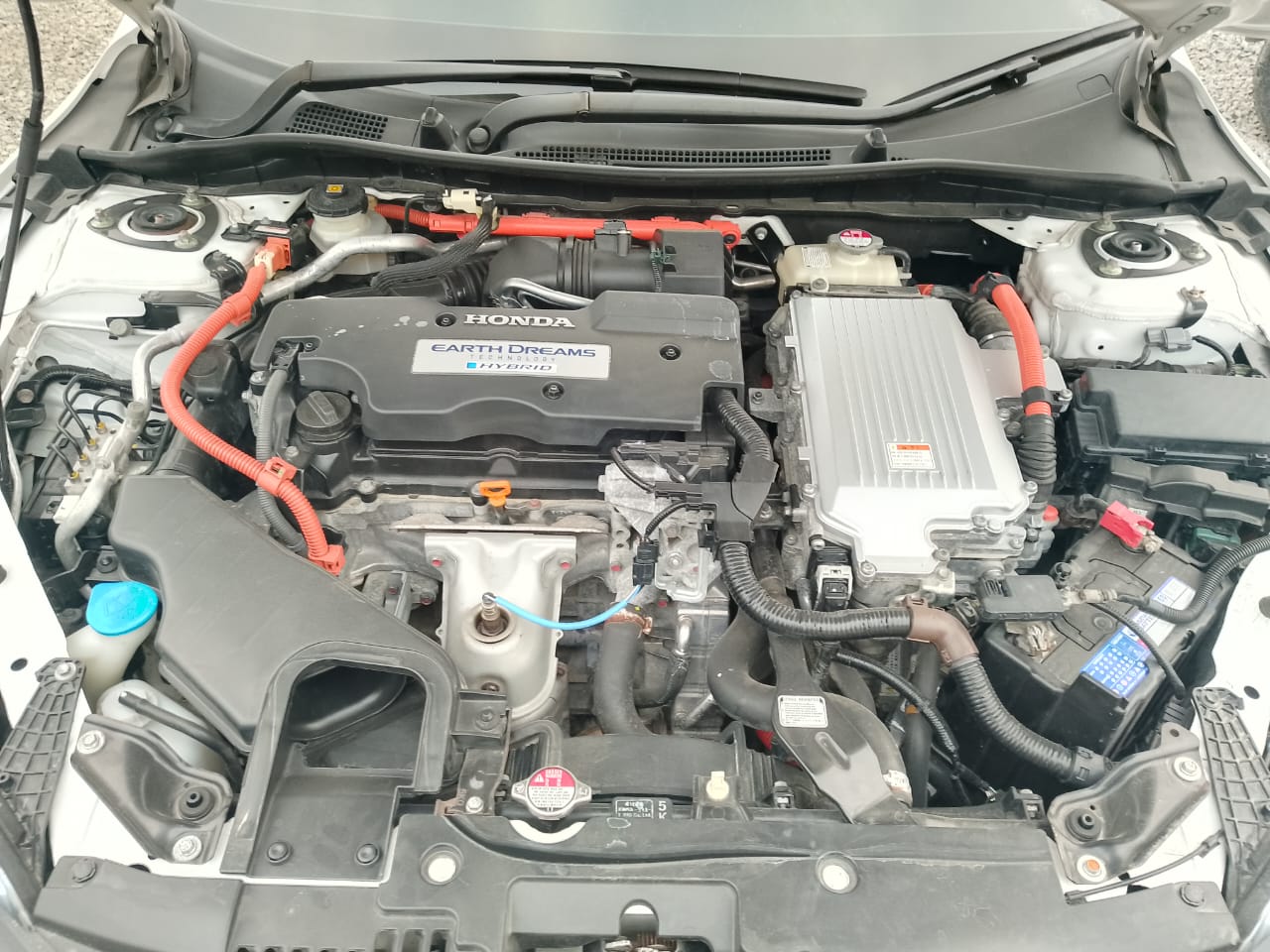 Thumbnail of Accord